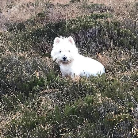 Mo-Dhachaidh B&B プールー エクステリア 写真